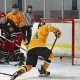 Your Guide: St Vincent Hockey at SVC - News & More | Your Ultimate Source for Hockey Updates, Training Guides, and Equipment Recommendations