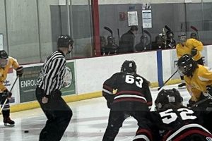Join the Best Ice Hockey Beer League Near You! Safem Fabrication - Precision Engineering & Custom Manufacturing Solutions Join the Best Ice Hockey Beer League Near You! | Safem Fabrication - Precision Engineering & Custom Manufacturing Solutions