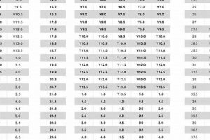 Your Hockey Skate Size Guide: Find the Perfect Fit! Safem Fabrication - Precision Engineering & Custom Manufacturing Solutions Your Hockey Skate Size Guide: Find the Perfect Fit! | Safem Fabrication - Precision Engineering & Custom Manufacturing Solutions
