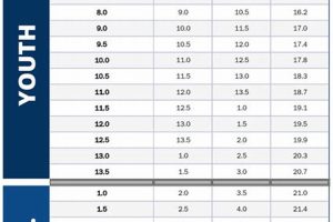 Find Your Fit: Bauer Hockey Skate Size Chart Guide Safem Fabrication - Precision Engineering & Custom Manufacturing Solutions Find Your Fit: Bauer Hockey Skate Size Chart Guide | Safem Fabrication - Precision Engineering & Custom Manufacturing Solutions