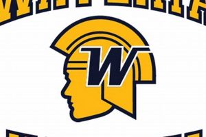 Wayzata Youth Hockey: MN Hockey Programs For Kids Safem Fabrication - Precision Engineering & Custom Manufacturing Solutions Wayzata Youth Hockey: MN Hockey Programs For Kids | Safem Fabrication - Precision Engineering & Custom Manufacturing Solutions
