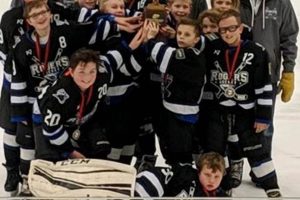 Develop with Rogers Youth Hockey Programs Near You! Safem Fabrication - Precision Engineering & Custom Manufacturing Solutions Develop with Rogers Youth Hockey Programs Near You! | Safem Fabrication - Precision Engineering & Custom Manufacturing Solutions