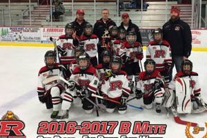 Elk River Youth Hockey: MN Hockey Greatness Safem Fabrication - Precision Engineering & Custom Manufacturing Solutions Elk River Youth Hockey: MN Hockey Greatness | Safem Fabrication - Precision Engineering & Custom Manufacturing Solutions