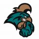 Coastal Carolina Ice Hockey: Club Hockey Excellence! | Your Ultimate Source for Hockey Updates, Training Guides, and Equipment Recommendations