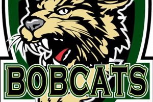 NY Bobcats Ice Hockey: Skills & Teams! Safem Fabrication - Precision Engineering & Custom Manufacturing Solutions NY Bobcats Ice Hockey: Skills & Teams! | Safem Fabrication - Precision Engineering & Custom Manufacturing Solutions