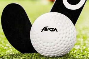 Essential Field Hockey Ball Guide: Specs & Skills Safem Fabrication - Precision Engineering & Custom Manufacturing Solutions Essential Field Hockey Ball Guide: Specs & Skills | Safem Fabrication - Precision Engineering & Custom Manufacturing Solutions