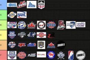 Best Junior Hockey Leagues Ranked: The Ultimate Guide Safem Fabrication - Precision Engineering & Custom Manufacturing Solutions Best Junior Hockey Leagues Ranked: The Ultimate Guide | Safem Fabrication - Precision Engineering & Custom Manufacturing Solutions