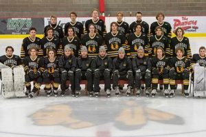 Legendary Warroad Hockey: A Winning Tradition! Safem Fabrication - Precision Engineering & Custom Manufacturing Solutions Legendary Warroad Hockey: A Winning Tradition! | Safem Fabrication - Precision Engineering & Custom Manufacturing Solutions