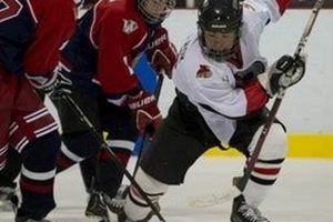 Deux-Rives Dauphins Bantam Hockey: Your Team's Edge! Safem Fabrication - Precision Engineering & Custom Manufacturing Solutions Deux-Rives Dauphins Bantam Hockey: Your Team's Edge! | Safem Fabrication - Precision Engineering & Custom Manufacturing Solutions