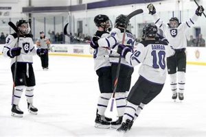 Get the Latest Holy Cross Men's Hockey Schedule & Scores! Safem Fabrication - Precision Engineering & Custom Manufacturing Solutions Get the Latest Holy Cross Men's Hockey Schedule & Scores! | Safem Fabrication - Precision Engineering & Custom Manufacturing Solutions