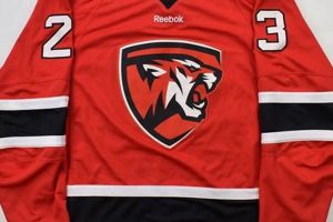 Best Hockey Shirts: Find Your Perfect Team Apparel Now! Safem Fabrication - Precision Engineering & Custom Manufacturing Solutions Best Hockey Shirts: Find Your Perfect Team Apparel Now! | Safem Fabrication - Precision Engineering & Custom Manufacturing Solutions