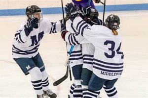 NESCAC Women's Ice Hockey: Top Teams & Future Stars Safem Fabrication - Precision Engineering & Custom Manufacturing Solutions NESCAC Women's Ice Hockey: Top Teams & Future Stars | Safem Fabrication - Precision Engineering & Custom Manufacturing Solutions