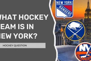 Best New York State Hockey Teams: Leagues & More! Safem Fabrication - Precision Engineering & Custom Manufacturing Solutions Best New York State Hockey Teams: Leagues & More! | Safem Fabrication - Precision Engineering & Custom Manufacturing Solutions
