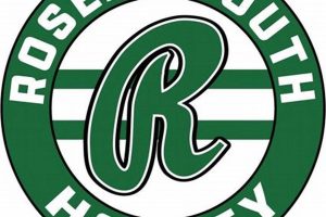 Roseau Youth Hockey: Guide & Teams For Young Players Safem Fabrication - Precision Engineering & Custom Manufacturing Solutions Roseau Youth Hockey: Guide & Teams For Young Players | Safem Fabrication - Precision Engineering & Custom Manufacturing Solutions