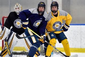 Canisius Hockey Roster: Team List & Season Outlook Safem Fabrication - Precision Engineering & Custom Manufacturing Solutions Canisius Hockey Roster: Team List & Season Outlook | Safem Fabrication - Precision Engineering & Custom Manufacturing Solutions