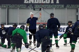 Endicott Men's Hockey: Gulls on Ice | D3 Action Safem Fabrication - Precision Engineering & Custom Manufacturing Solutions Endicott Men's Hockey: Gulls on Ice | D3 Action | Safem Fabrication - Precision Engineering & Custom Manufacturing Solutions