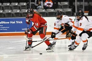 Elevate Your Game: St. Lawrence Women's Hockey Excellence Safem Fabrication - Precision Engineering & Custom Manufacturing Solutions Elevate Your Game: St. Lawrence Women's Hockey Excellence | Safem Fabrication - Precision Engineering & Custom Manufacturing Solutions