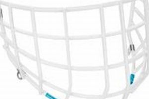 Best Hockey Goalie Cage: [Suffix] for Goalies | Your Ultimate Source for Hockey Updates, Training Guides, and Equipment Recommendations