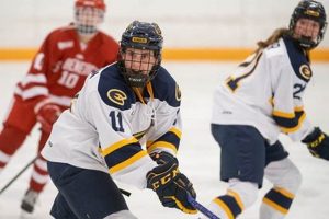 Eau Claire Women's Hockey Schedule: Find Games & Info! Safem Fabrication - Precision Engineering & Custom Manufacturing Solutions Eau Claire Women's Hockey Schedule: Find Games & Info! | Safem Fabrication - Precision Engineering & Custom Manufacturing Solutions