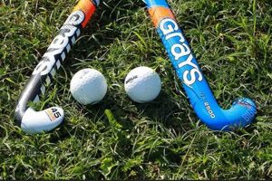 Master Your Hockey Stick and Ball Game: Tips & Tricks Safem Fabrication - Precision Engineering & Custom Manufacturing Solutions Master Your Hockey Stick and Ball Game: Tips & Tricks | Safem Fabrication - Precision Engineering & Custom Manufacturing Solutions