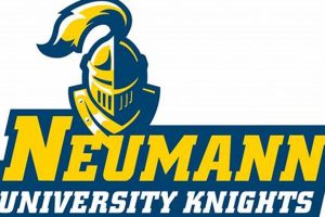 Your Neumann Ice Hockey Journey: Teams & More! Safem Fabrication - Precision Engineering & Custom Manufacturing Solutions Your Neumann Ice Hockey Journey: Teams & More! | Safem Fabrication - Precision Engineering & Custom Manufacturing Solutions