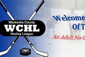 Waukesha County Hockey League: Play Hockey Here! Safem Fabrication - Precision Engineering & Custom Manufacturing Solutions Waukesha County Hockey League: Play Hockey Here! | Safem Fabrication - Precision Engineering & Custom Manufacturing Solutions