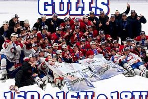 LI Gulls Ice Hockey: Top Youth Hockey on Long Island Safem Fabrication - Precision Engineering & Custom Manufacturing Solutions LI Gulls Ice Hockey: Top Youth Hockey on Long Island | Safem Fabrication - Precision Engineering & Custom Manufacturing Solutions