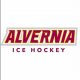 Alvernia Men's Ice Hockey | Your Ultimate Source for Hockey Updates, Training Guides, and Equipment Recommendations