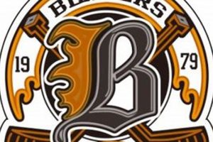 Blazers Ice Hockey: Score Big & Dominate the Ice! Safem Fabrication - Precision Engineering & Custom Manufacturing Solutions Blazers Ice Hockey: Score Big & Dominate the Ice! | Safem Fabrication - Precision Engineering & Custom Manufacturing Solutions