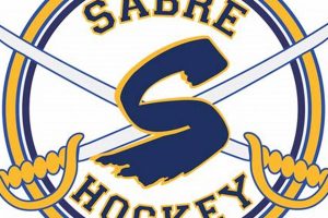 Naperville Sabre Hockey: IL Youth Ice Hockey Programs Safem Fabrication - Precision Engineering & Custom Manufacturing Solutions Naperville Sabre Hockey: IL Youth Ice Hockey Programs | Safem Fabrication - Precision Engineering & Custom Manufacturing Solutions