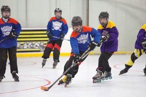 Find Local: Youth Roller Hockey Leagues Near Me - Guide Safem Fabrication - Precision Engineering & Custom Manufacturing Solutions Find Local: Youth Roller Hockey Leagues Near Me - Guide | Safem Fabrication - Precision Engineering & Custom Manufacturing Solutions