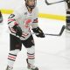 UTampa Hockey Roster: Check the Spartans Hockey Lineup + Stats | Your Ultimate Source for Hockey Updates, Training Guides, and Equipment Recommendations