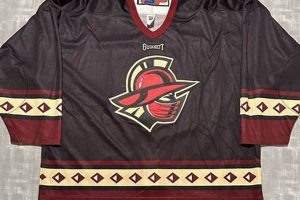 Buy Gwinnett Gladiators Hockey Jersey: Styles & More! Safem Fabrication - Precision Engineering & Custom Manufacturing Solutions Buy Gwinnett Gladiators Hockey Jersey: Styles & More! | Safem Fabrication - Precision Engineering & Custom Manufacturing Solutions