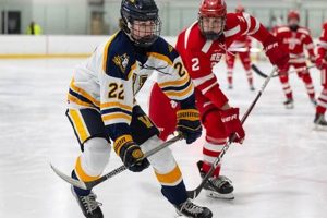 Your Guide: Section V Hockey Schedule 2024-2025 + Tips Safem Fabrication - Precision Engineering & Custom Manufacturing Solutions Your Guide: Section V Hockey Schedule 2024-2025 + Tips | Safem Fabrication - Precision Engineering & Custom Manufacturing Solutions