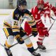 Your Guide: Section V Hockey Schedule 2024-2025 + Tips | Your Ultimate Source for Hockey Updates, Training Guides, and Equipment Recommendations