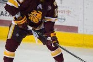 Get Cheap Duluth Bulldog Hockey Tickets: Deals & Info Safem Fabrication - Precision Engineering & Custom Manufacturing Solutions Get Cheap Duluth Bulldog Hockey Tickets: Deals & Info | Safem Fabrication - Precision Engineering & Custom Manufacturing Solutions