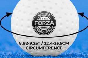 Field Hockey Ball Weight: Guide & Regulation Tips Your Ultimate Source for Hockey Updates, Training Guides, and Equipment Recommendations Field Hockey Ball Weight: Guide & Regulation Tips | Your Ultimate Source for Hockey Updates, Training Guides, and Equipment Recommendations
