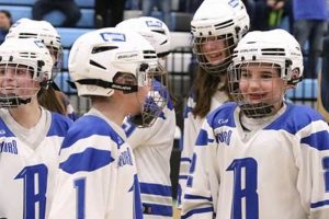 Brainerd Hockey Tournament: Guide & Info Safem Fabrication - Precision Engineering & Custom Manufacturing Solutions Brainerd Hockey Tournament: Guide & Info | Safem Fabrication - Precision Engineering & Custom Manufacturing Solutions