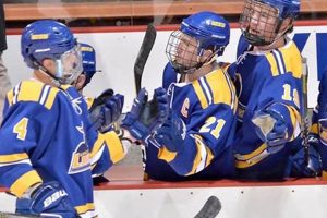 Your Guide to Worcester State Hockey: News, Scores & More! Safem Fabrication - Precision Engineering & Custom Manufacturing Solutions Your Guide to Worcester State Hockey: News, Scores & More! | Safem Fabrication - Precision Engineering & Custom Manufacturing Solutions