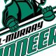 Hill Murray Hockey: MN High School Hockey Dominance | Your Ultimate Source for Hockey Updates, Training Guides, and Equipment Recommendations