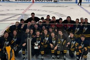 Superior Men's Hockey: UW Superior's Ice Kings Safem Fabrication - Precision Engineering & Custom Manufacturing Solutions Superior Men's Hockey: UW Superior's Ice Kings | Safem Fabrication - Precision Engineering & Custom Manufacturing Solutions