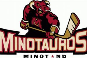 Minotauros Hockey: Power On Ice! Guide Safem Fabrication - Precision Engineering & Custom Manufacturing Solutions Minotauros Hockey: Power On Ice! Guide | Safem Fabrication - Precision Engineering & Custom Manufacturing Solutions