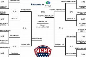 2024 NCHC Hockey Tournament: Bracket, Scores & More! Safem Fabrication - Precision Engineering & Custom Manufacturing Solutions 2024 NCHC Hockey Tournament: Bracket, Scores & More! | Safem Fabrication - Precision Engineering & Custom Manufacturing Solutions