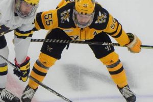 Your Guide to Women's Hockey Transfer Portal Info + Tips Safem Fabrication - Precision Engineering & Custom Manufacturing Solutions Your Guide to Women's Hockey Transfer Portal Info + Tips | Safem Fabrication - Precision Engineering & Custom Manufacturing Solutions