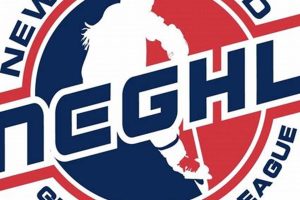 NEGL Hockey Leagues: Join Adult Hockey Fun! Safem Fabrication - Precision Engineering & Custom Manufacturing Solutions NEGL Hockey Leagues: Join Adult Hockey Fun! | Safem Fabrication - Precision Engineering & Custom Manufacturing Solutions