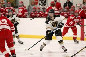 Your Guide: St Olaf Women's Hockey Schedule & More! Safem Fabrication - Precision Engineering & Custom Manufacturing Solutions Your Guide: St Olaf Women's Hockey Schedule & More! | Safem Fabrication - Precision Engineering & Custom Manufacturing Solutions