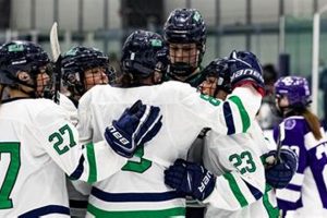 Endicott Women's Hockey: Gulls on Ice! Safem Fabrication - Precision Engineering & Custom Manufacturing Solutions Endicott Women's Hockey: Gulls on Ice! | Safem Fabrication - Precision Engineering & Custom Manufacturing Solutions