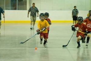 Find a Top Ball Hockey League Near Me: Join a League! Safem Fabrication - Precision Engineering & Custom Manufacturing Solutions Find a Top Ball Hockey League Near Me: Join a League! | Safem Fabrication - Precision Engineering & Custom Manufacturing Solutions