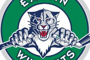Eagan Hockey: Youth Hockey League & Programs Safem Fabrication - Precision Engineering & Custom Manufacturing Solutions Eagan Hockey: Youth Hockey League & Programs | Safem Fabrication - Precision Engineering & Custom Manufacturing Solutions