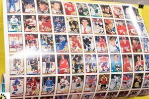 Buy '91 OPC Hockey Cards: Values, Sets & More! Your Ultimate Source for Hockey Updates, Training Guides, and Equipment Recommendations Buy '91 OPC Hockey Cards: Values, Sets & More! | Your Ultimate Source for Hockey Updates, Training Guides, and Equipment Recommendations